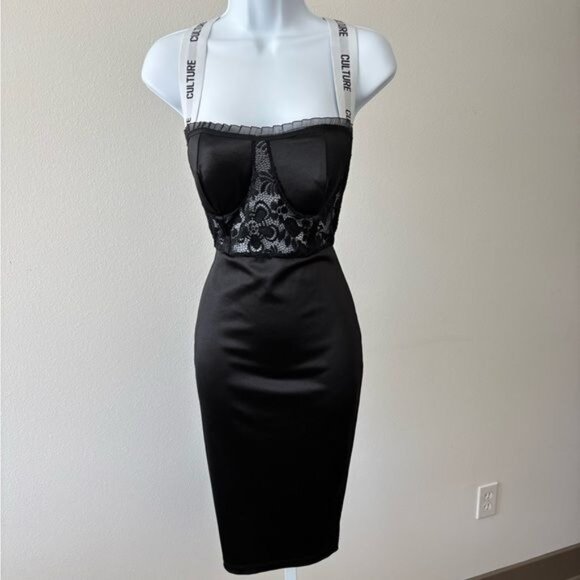 Fashion Nova Dresses & Skirts - Satin Dress Medium Lace Mesh Ruffle Bustier BodyCon Festival Dark Fairy Romantic
